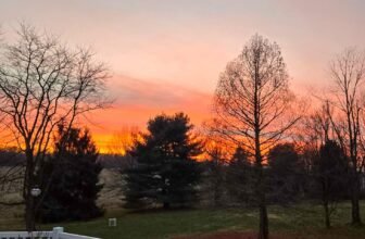 The Little Issues E-newsletter #501 – Life, laughter, and many nice meals!